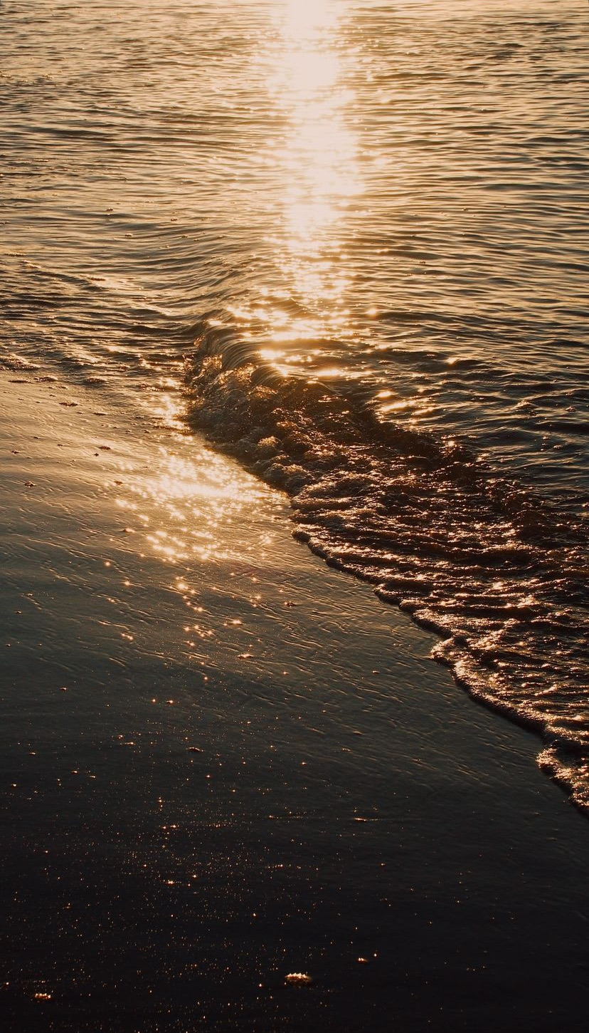 A wave washing over wet sand at golden hour